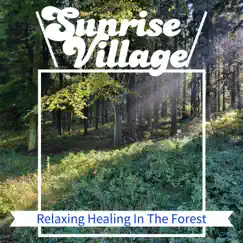 Relaxing Healing In the Forest by Sunrise Village album reviews, ratings, credits