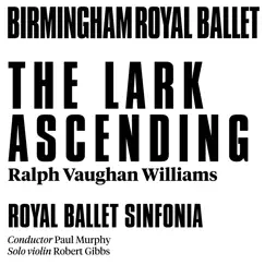 The Lark Ascending (feat. Paul Murphy) - EP by Royal Ballet Sinfonia, Paul Murphy & Robert Gibbs album reviews, ratings, credits