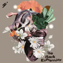 The Black Expression - Single by Sarah, the Illstrumentalist album reviews, ratings, credits