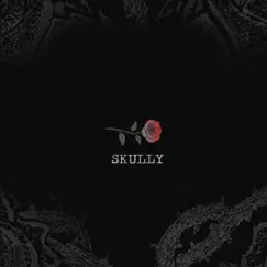 Skully - Single by SayWeCanFly album reviews, ratings, credits
