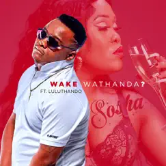 Wake Wathanda? (feat. Luluthando) - Single by Sosha album reviews, ratings, credits