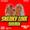 Sneaky Link Shemix (Sped Up Mix) - Single album lyrics, reviews, download