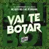 Vai Te Botar song lyrics