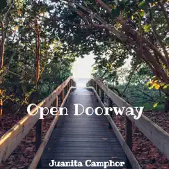 Open Doorway - Single by Juanita Camphor album reviews, ratings, credits