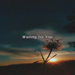 Waiting for You by Lo.Fi Chillhop album reviews, ratings, credits