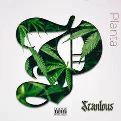 Planta (feat. iQlover & ElReghosg) - Single by Scanlous album reviews, ratings, credits