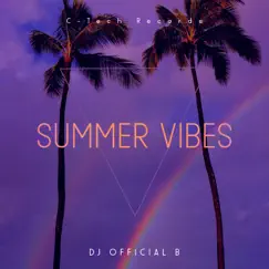 Summer Vibes - Single by DJ Official B album reviews, ratings, credits