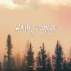 Wahre Dinge (feat. Santiago Ghigani & DJ Flash) - Single album lyrics, reviews, download