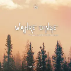 Wahre Dinge (feat. Santiago Ghigani & DJ Flash) Song Lyrics