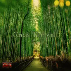 Cross the Wall - Single by Ken savage album reviews, ratings, credits