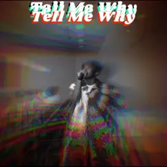 Tell Me Why - Single by D-Ghost album reviews, ratings, credits