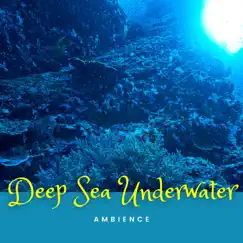 Deep Sea Underwater Ambience by Underwater Zone, Life Sounds Nature & Nature Sounds XLE Library album reviews, ratings, credits