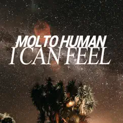 I Can Feel - Single by Molto Human album reviews, ratings, credits