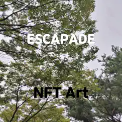 Escapade - Single by NFT Art album reviews, ratings, credits