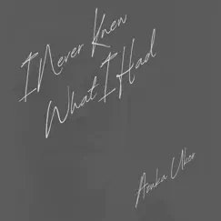 I Never Knew What I Had - Single by Azuka Ukor album reviews, ratings, credits