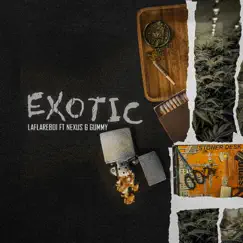 Exotic (feat. Gummy & NEXUS) Song Lyrics