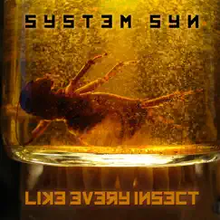 Like Every Insect (Cindergarden Version) Song Lyrics