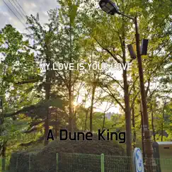My Love Is Your Love - Single by A Dune King album reviews, ratings, credits