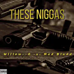 These N****s (feat. Willow--G) - Single by Mad Bludd album reviews, ratings, credits