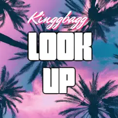 Look Up - Single by KinggBagg album reviews, ratings, credits