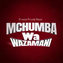 Mchumba Wa Zamani (feat. Lody Music) - Single by D Voice album reviews, ratings, credits