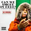 Can We Smoke In Here? - Single album lyrics, reviews, download