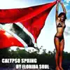 Calypso Spring album lyrics, reviews, download