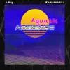 Aquatic Ambience - Single album lyrics, reviews, download