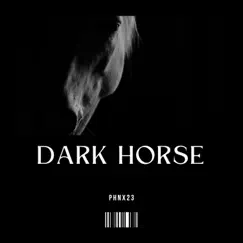Dark Horse - Single by PHNX23 album reviews, ratings, credits