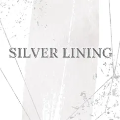 Silver Lining (feat. Nichol & Spark I aM') - Single by Aero Ross album reviews, ratings, credits