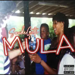 Mula - Single by Snake Gotti album reviews, ratings, credits