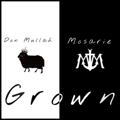 Grown (feat. Mosarie) Song Lyrics
