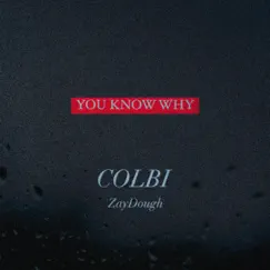 YOU KNOW WHY (feat. ZayDough) - Single by COLBI album reviews, ratings, credits