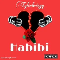 Habibi - Single by Tylerbrizyy album reviews, ratings, credits