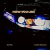 HOW YOU LIKE (feat. Chris Riggo) - Single album lyrics, reviews, download