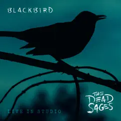 Blackbird - Single by The Dead Sages album reviews, ratings, credits