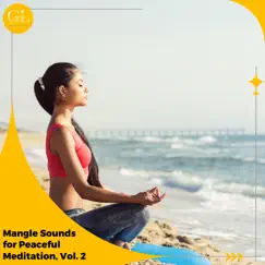 Mangle Sounds for Peaceful Meditation, Vol. 2 by Various Artists album reviews, ratings, credits