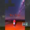 $ky High (feat. Ken Car$on) - Single album lyrics, reviews, download