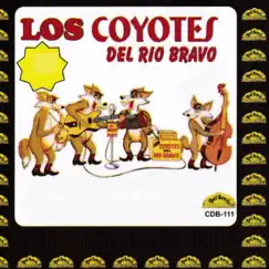 Hombre de Río Grande by Poncho Villagomez y Sus Coyotes del Rio Bravo album reviews, ratings, credits