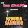 Nebunia Sălciilor (feat. Block 888) - Single album lyrics, reviews, download