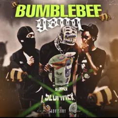 Bumblebee Gang (feat. SmokePNB, Li Rambo & Ybcdul) - Single by YoungBagChasers album reviews, ratings, credits