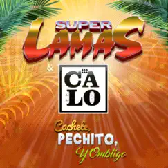 Cachete, Pechito Y Ombligo Song Lyrics