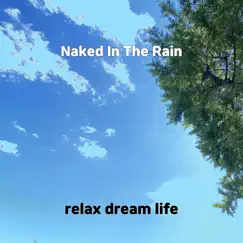 Naked In the Rain Song Lyrics