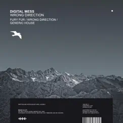 Wrong Direction - Single by Digital Mess album reviews, ratings, credits