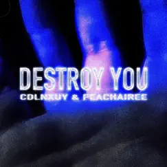 Destroy You Song Lyrics