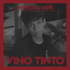 Vino Tinto - Single by Marcial AGR album reviews, ratings, credits