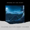 Calming Nature Night Sounds album lyrics, reviews, download