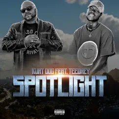 Spotlight (feat. Teedrey) Song Lyrics