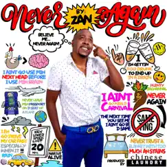 Never Again - Single by Zan album reviews, ratings, credits
