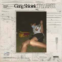 Park Song Lyrics